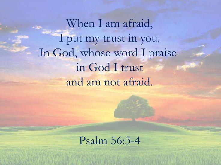 Choosing to Trust God